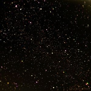 Meet your Posher, Lyndan